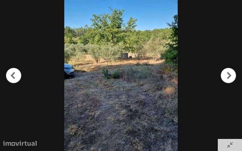 TERRENO 5.500m2 Parada de Gonta - Tondela - Grande imagem: 2/10