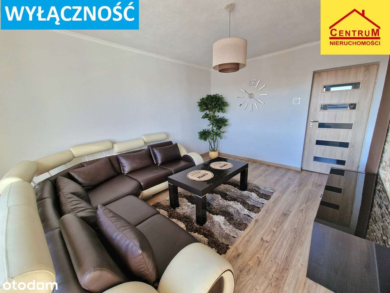 Nowa niższa cena ! - Pełny obrazek: 3/19