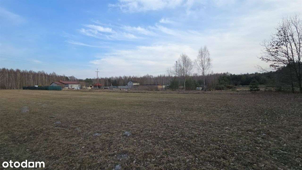 Urokliwa okolica czysty leśny klimat blisko miasta-4