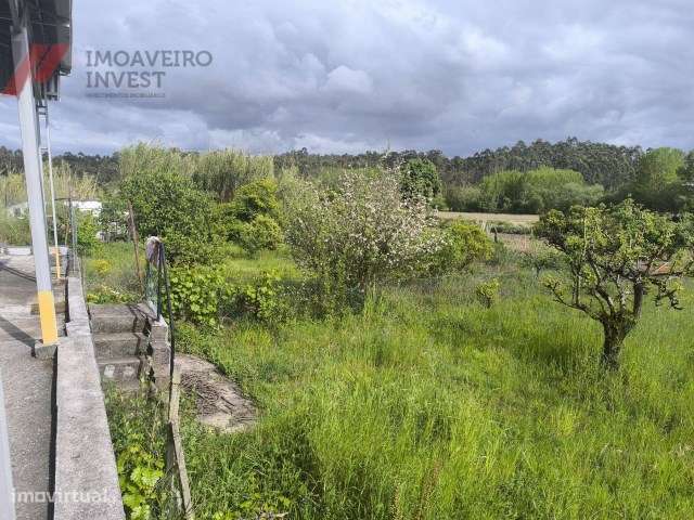 Quinta com Moradia Isolada e 4.450m² de Terreno Oiã Oliveira d Bairro-40