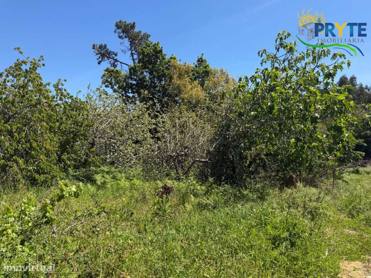 Terreno parcialmente dentro do perímetro urbano da aldeia-5