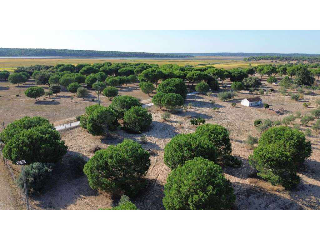 Terreno com Projeto Turístico Aprovado em Alcácer do Sal-5