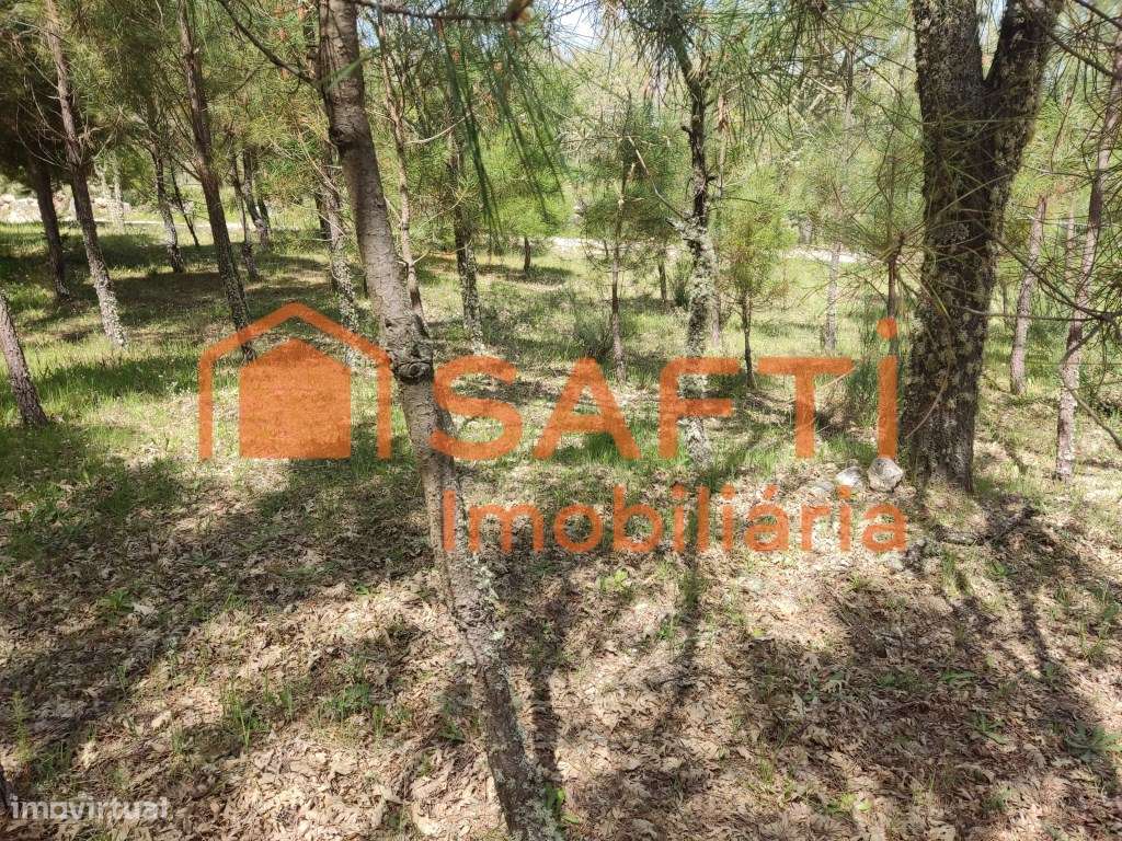 Terreno urbano em Casal de Cinza - Grande imagem: 5/20