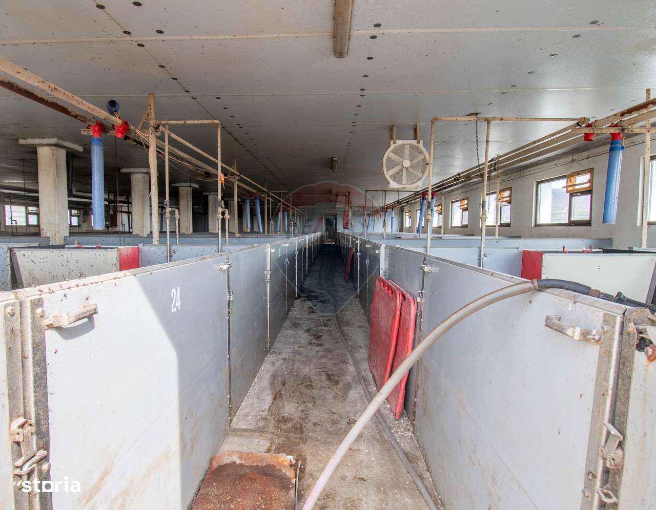 Ferma moderna de porci de vanzare in Curtuiusu Dejului - Imagine principală: 4/20