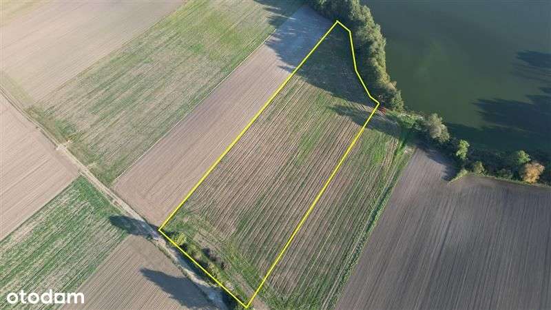 Działka przy jeziorze, blisko miasta - Pełny obrazek: 5/10