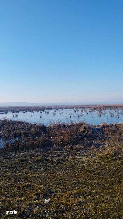 Vand teren intravilan 4000MP cu  dechidere la Delta Neajlovului, Coman - Imagine principală: 4/11