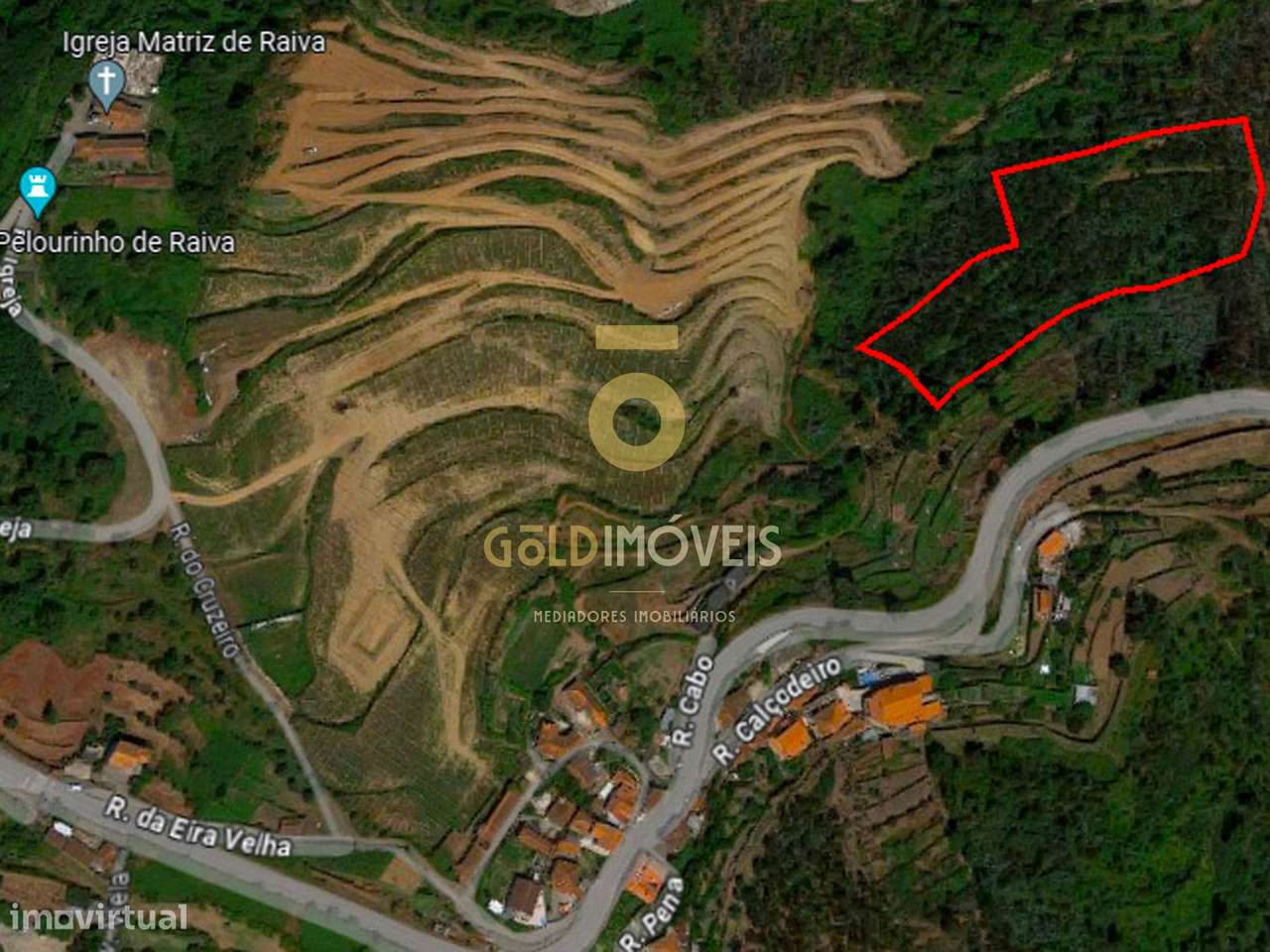 Terreno Florestal em Raiva - Castelo de Paiva - Grande imagem: 2/4