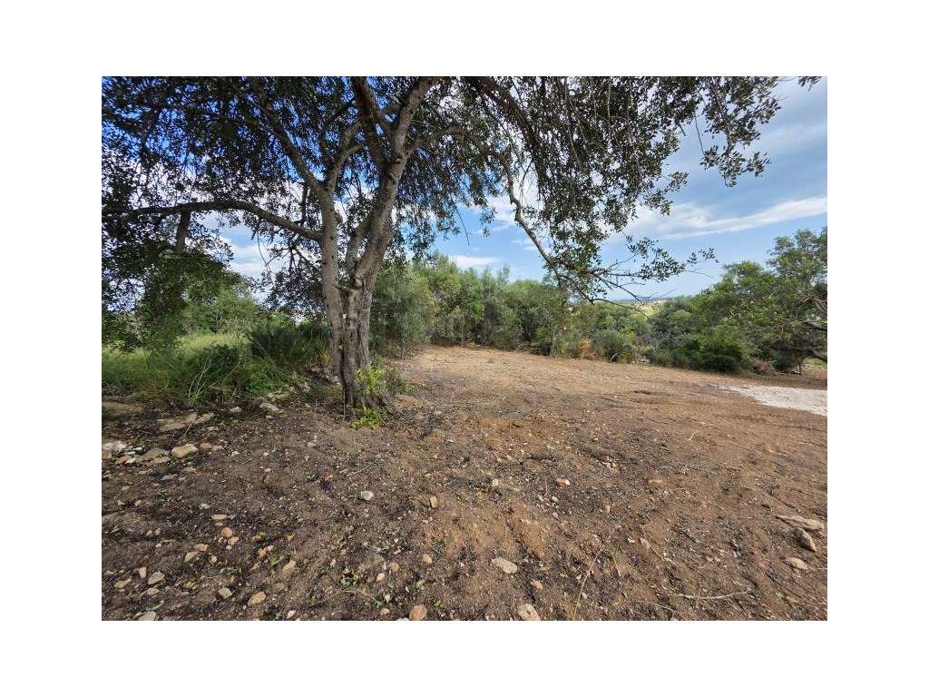 Terreno rústico com Vista Mar - Excelente oportunidade de investime... - Grande imagem: 3/28