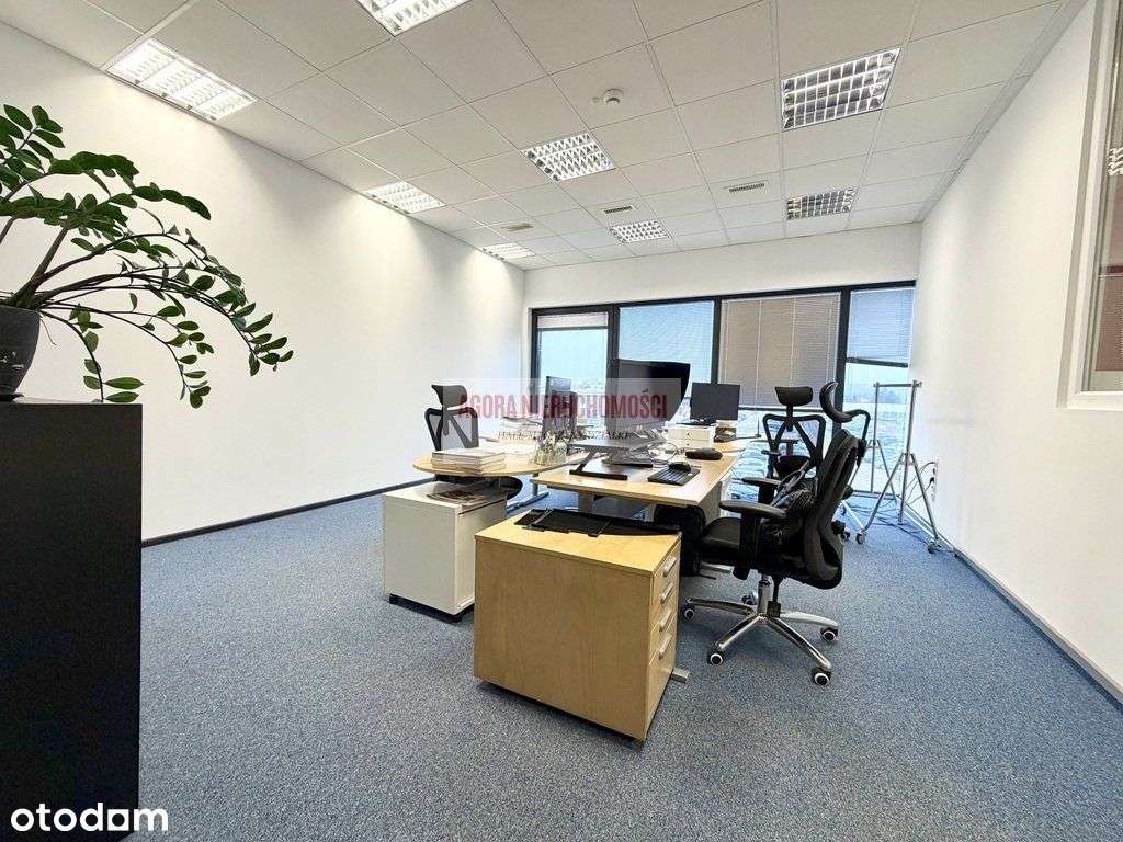 Magazyn 2100 m2 Lotnisko A4 Wysoki Skład + Biuro - Pełny obrazek: 4/11