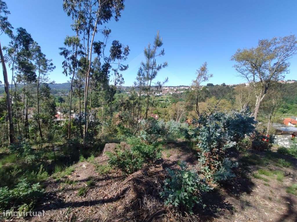 Terreno Urbano em Sanguedo, Santa Maria da Feira - Grande imagem: 4/4