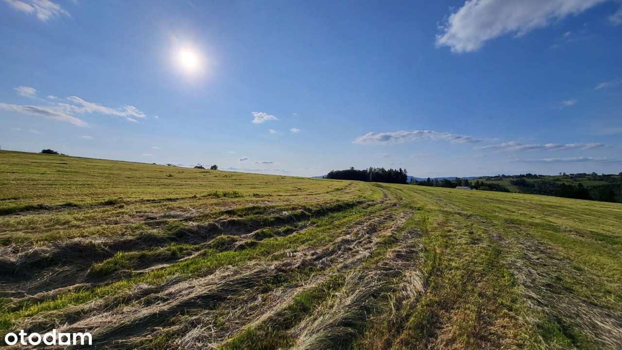 Duża działka budowlana, 11500 m2, Jaworzynka - Pełny obrazek: 5/14