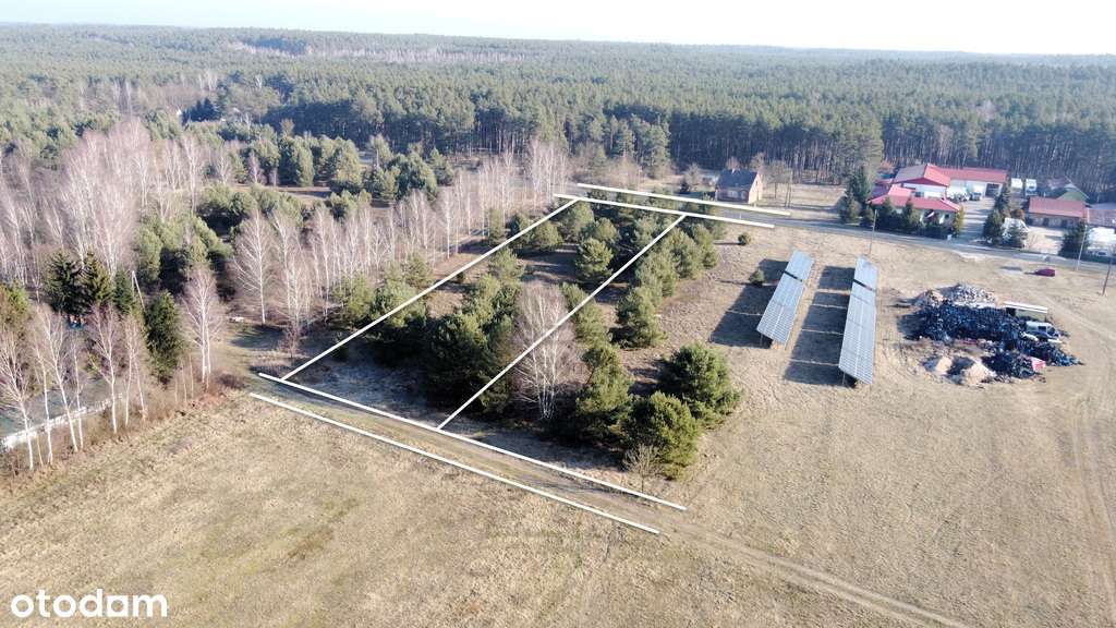 258/4058/OGS - Pełny obrazek: 5/11