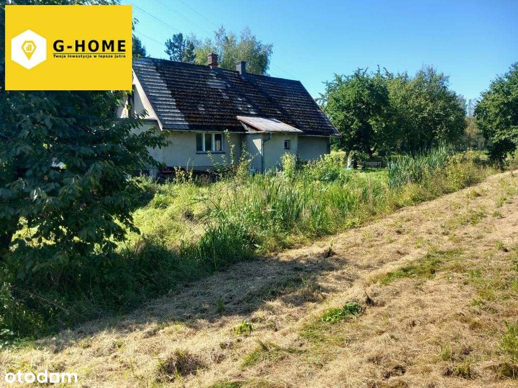 Tereny zielone - Działka z potencjałem-13