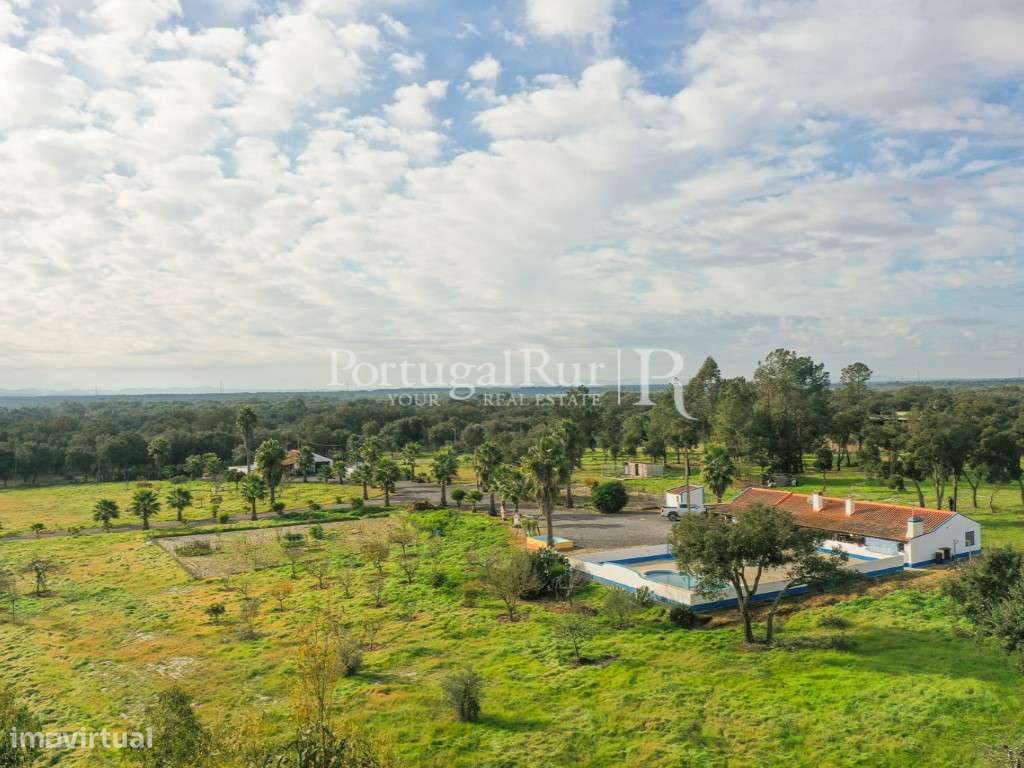 Quinta de 5 hectares, com 2 moradias e piscina-46