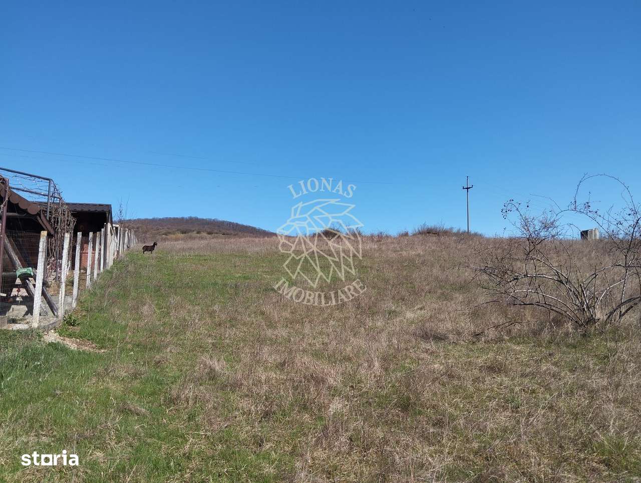 Teren intravilan 3719mp cu utilitati-deschidere la sosea -Crainimat - Imagine principală: 3/3