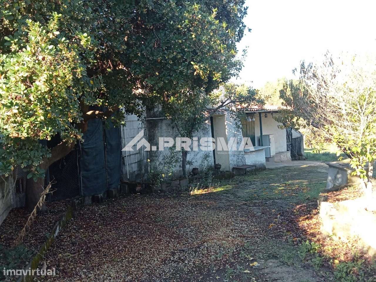 Quintinha para venda com construção rural para venda em Escalos de Bai-35