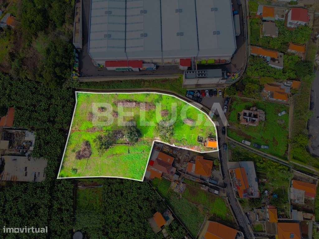 TERRENO PARA CONSTRUÇÃO | POÇO BARRAL (SÃO MARTINHO) - Grande imagem: 2/25