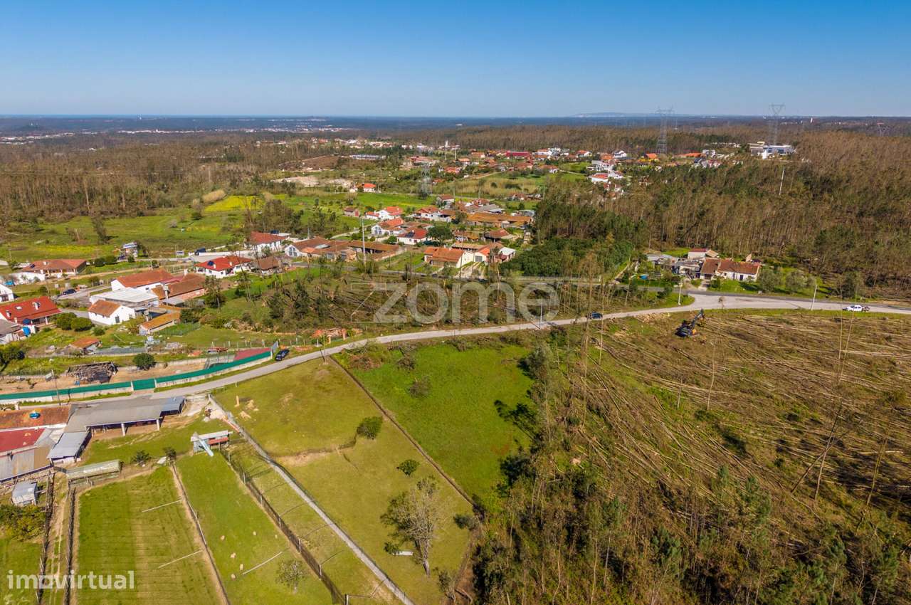 Terreno rústico – Souto da Carpalhosa - Grande imagem: 4/20