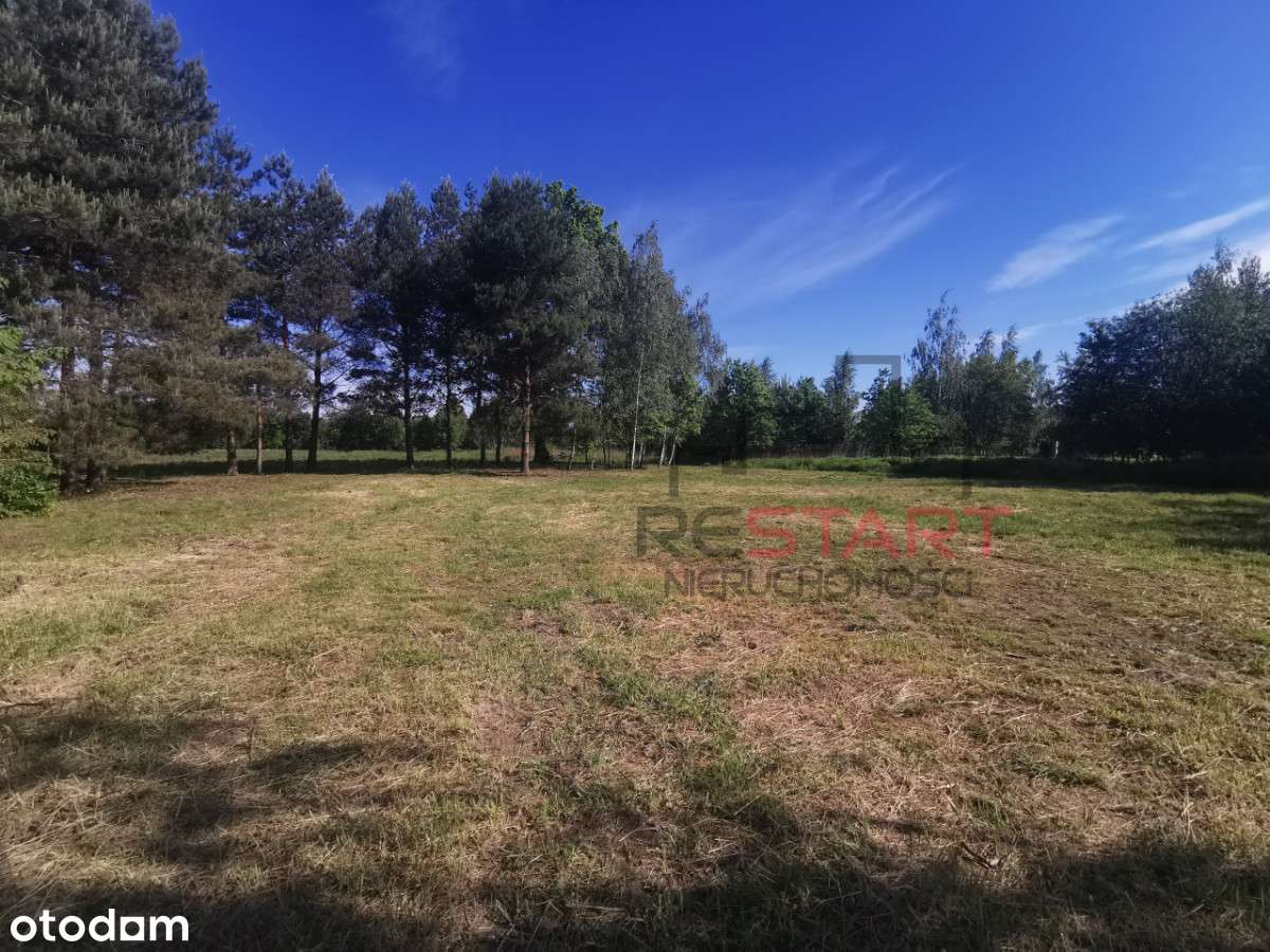 Budowlana, szkoła, trasa S8,  sklepy. - Pełny obrazek: 4/8