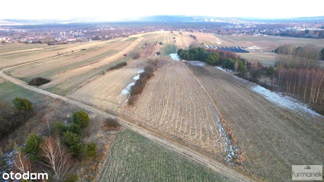 Działka rolna wśród malowniczych pól Roztocza - Pełny obrazek: 5/13