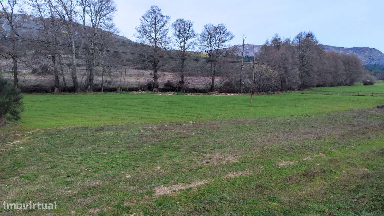 Oportunidade Exclusiva: Quinta com Alto Potencial de Valorização-9