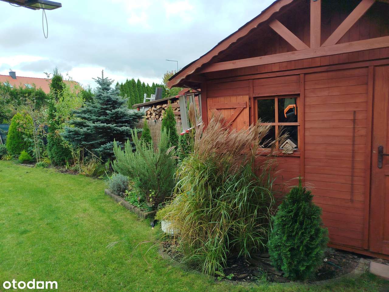 "Do zakochania jeden krok". - Pełny obrazek: 5/20