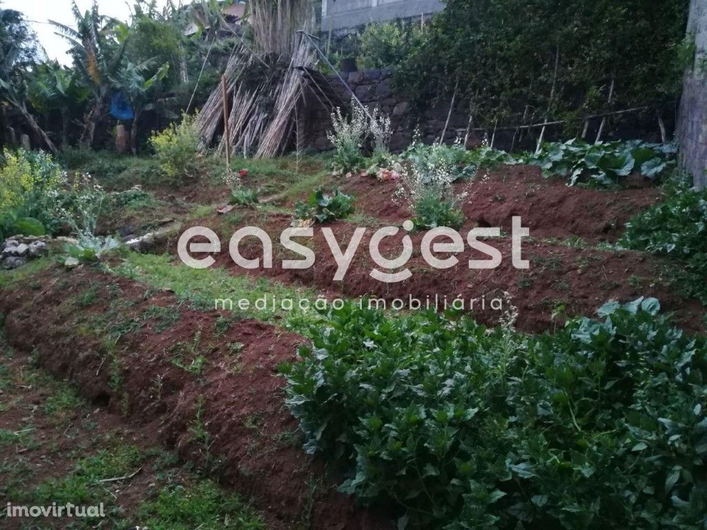 Terreno em St. António - Funchal