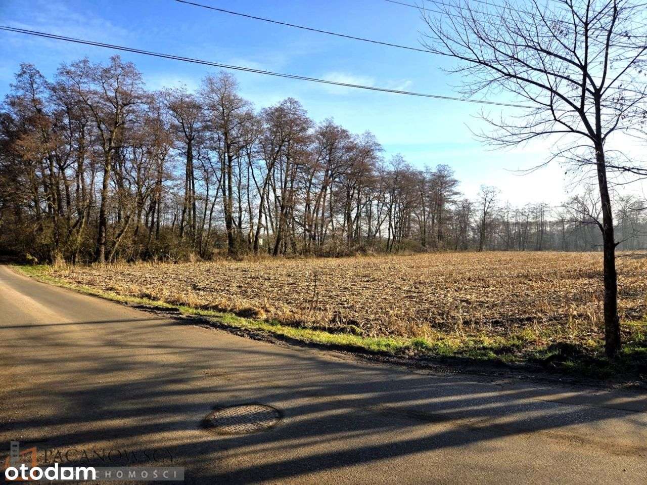 Działka, 3 900 m², Pękowice-0