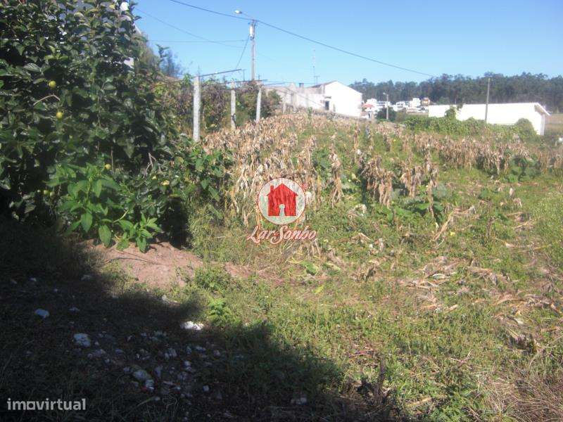 Terreno para construção com 2.000 m2 em Beiriz, Povoa de Varzim - Grande imagem: 4/5