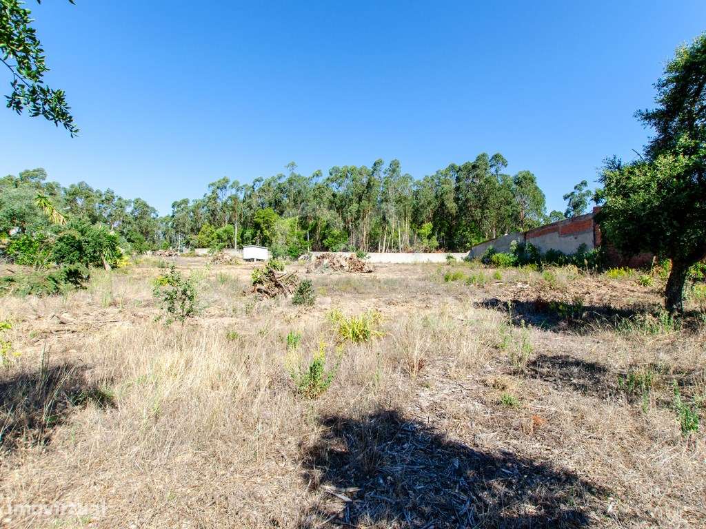 Quinta em Serradas, com terreno de 17.000m²-46