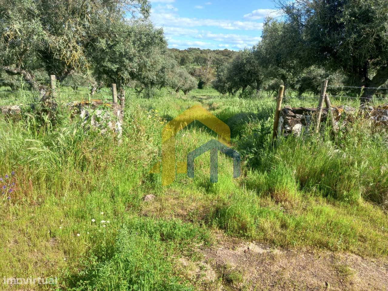 🏡 Quintinha em Monforte-5