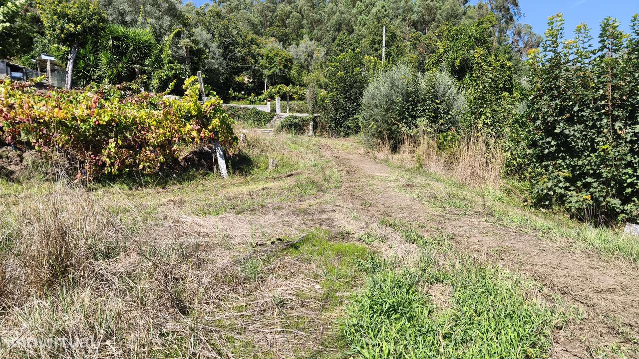 Terreno em Dornelas; Amares-7