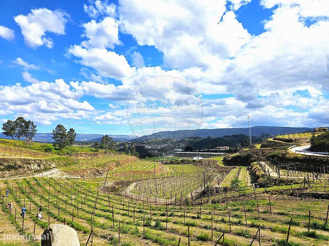 Herdade  para venda - Grande imagem: 5/13