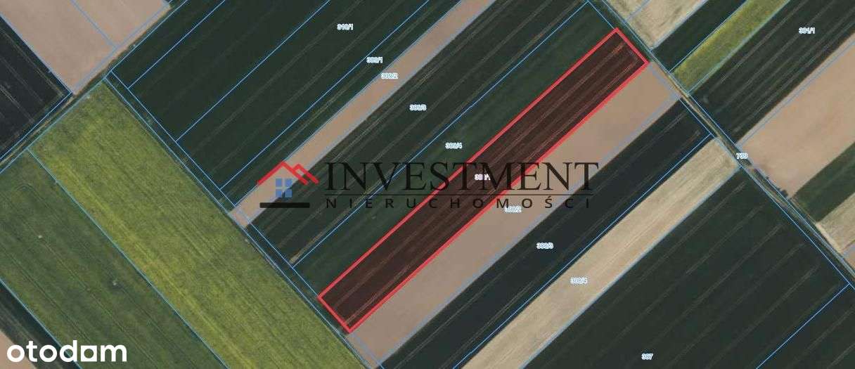 Działka, 26 200 m², Kazimierz - Pełny obrazek: 4/5