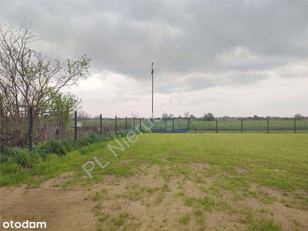 Działka, 3 600 m², Chlebnia - Pełny obrazek: 4/15