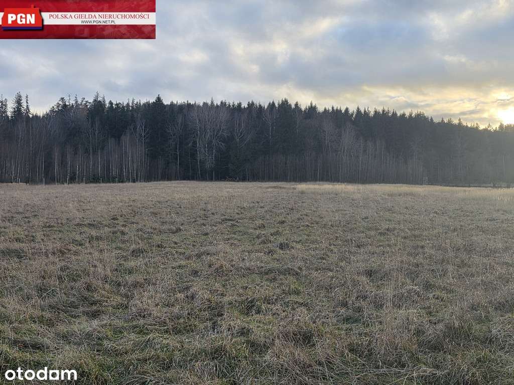 Atrakcyjna działka  budowlana w Szczytnej-6