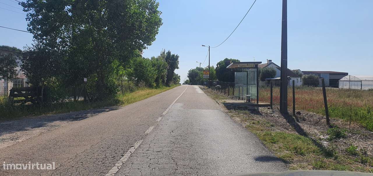 IMPERDÍVEL  Quinta em Foros do Carrapatal, Canha Montijo 51.000m2-16