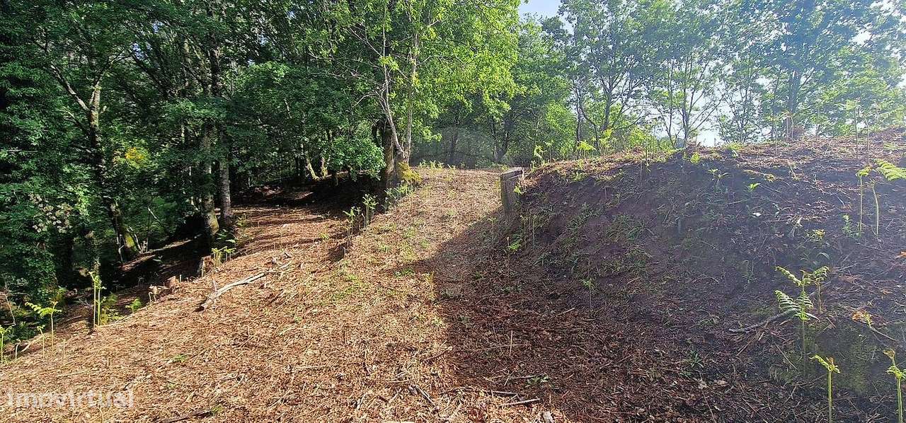 Terreno  para venda - Grande imagem: 5/8