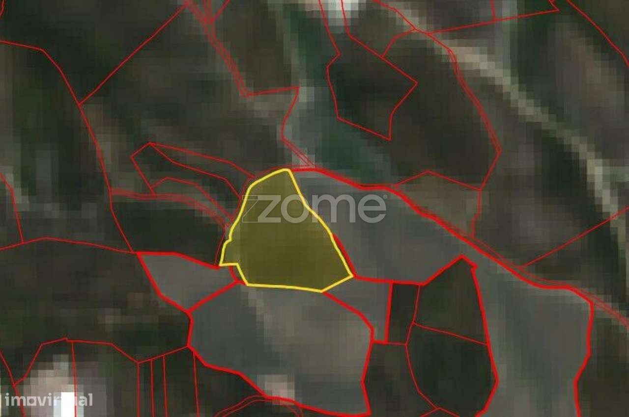 Terreno Rústico 1,6520 ha em Torres Vedras-9