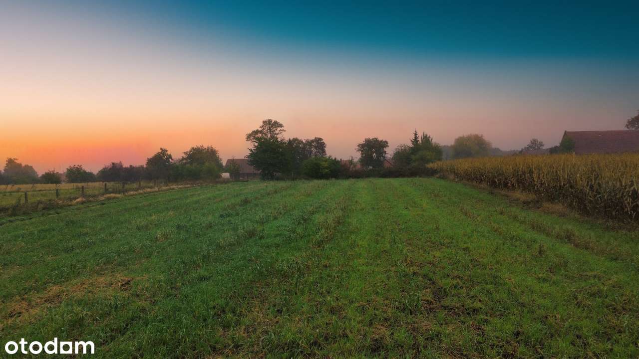 Działka, 1 000 m², Zawonia-4