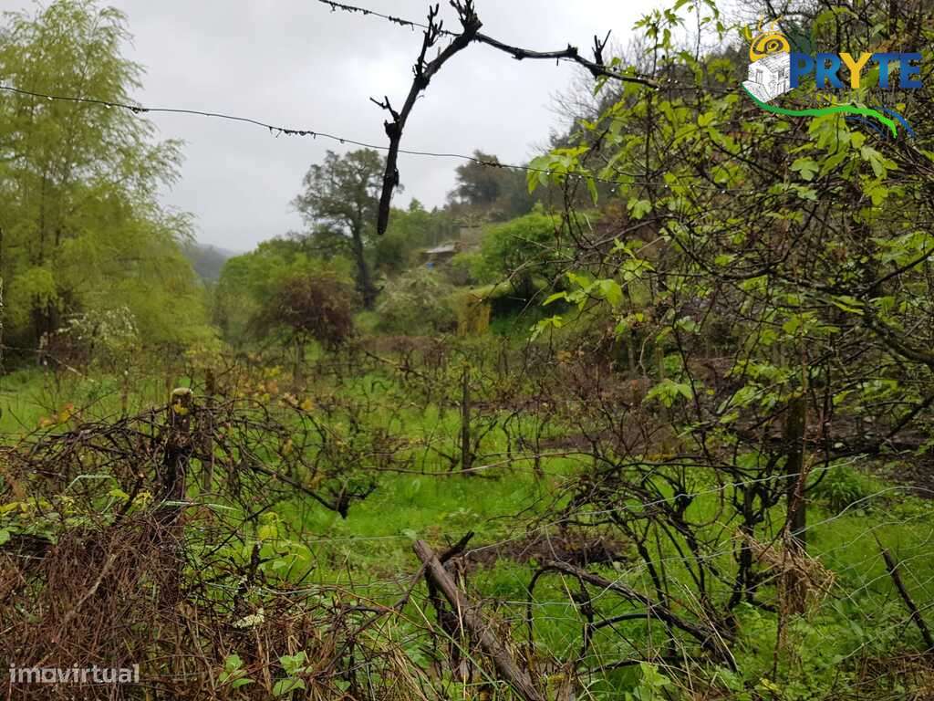 Quinta histórica em zona rural tranquila junto a aldeia de Alvares - Grande imagem: 5/26