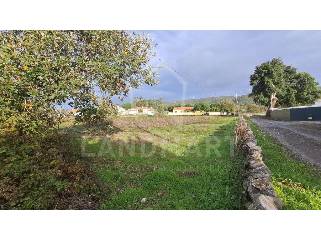 Terreno para construção, Charneca do Casal do Guerra - Benedita - Grande imagem: 3/8