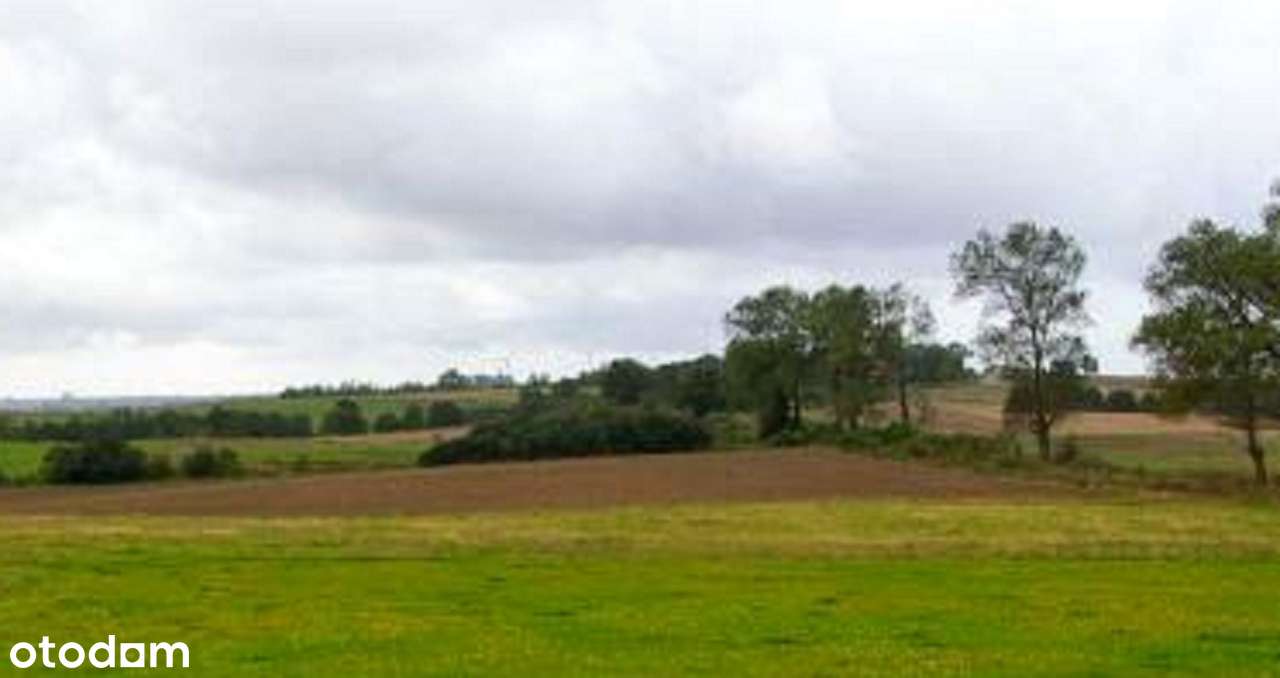 Sprzedam grunt rolny 4,55 ha wieś Kopnica gmina Darłowo - Pełny obrazek: 4/8