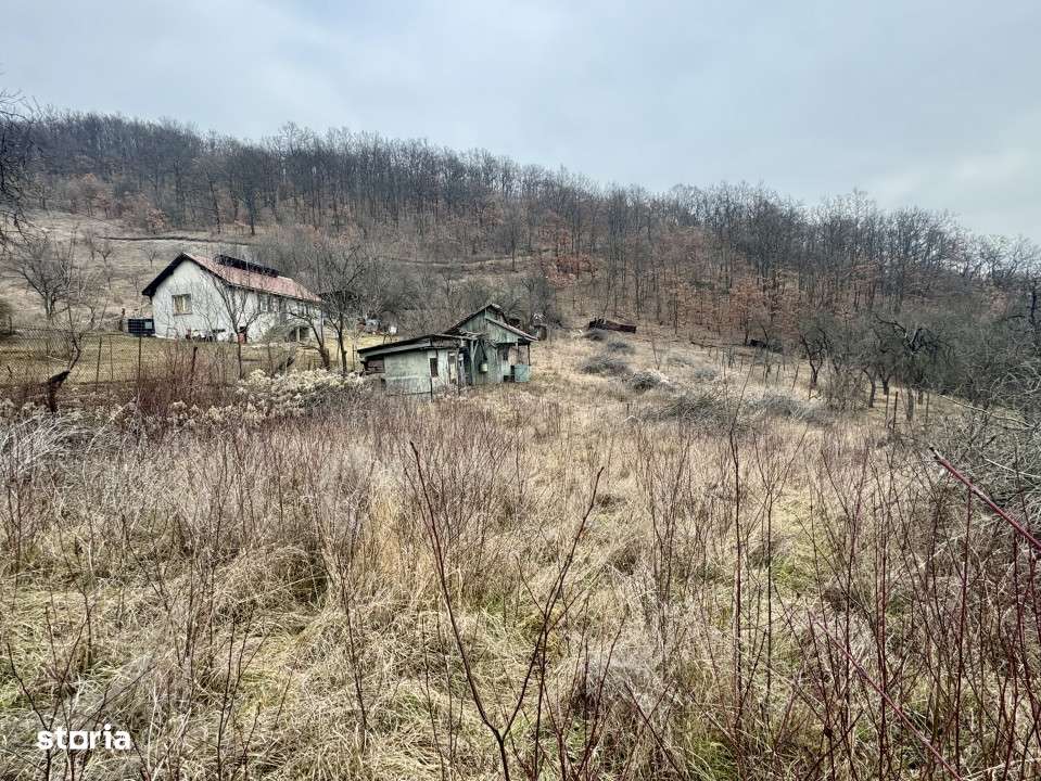 Teren intravilan, loc de casa,  panorama - Imagine principală: 1/1