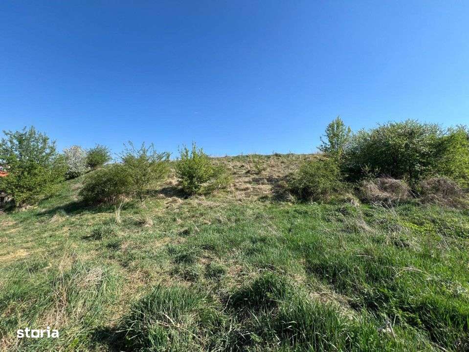 Teren intravilan de 3800 mp, zona Chinteni - Imagine principală: 3/3