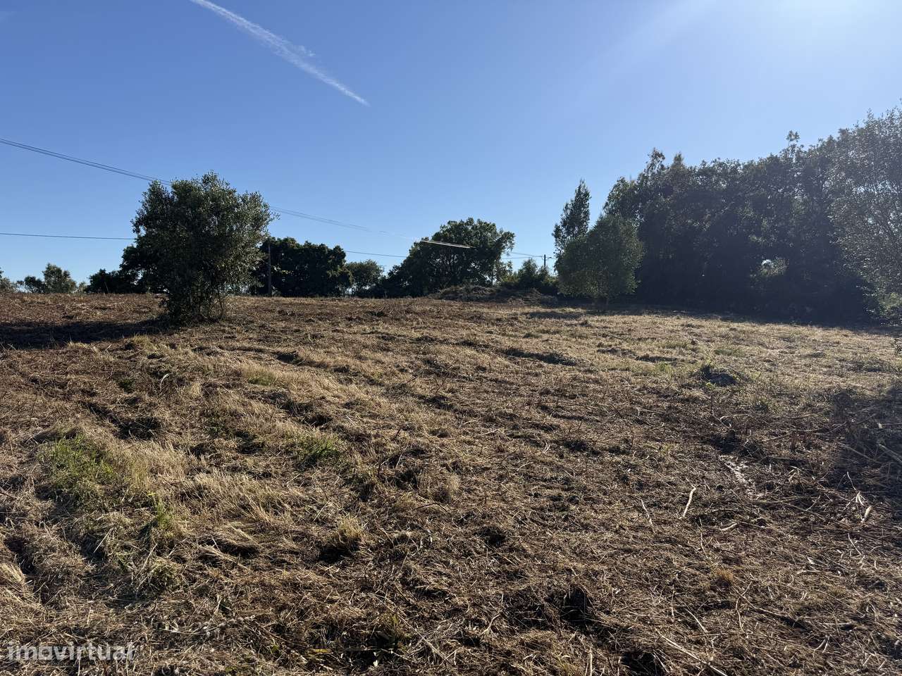 Terreno com casa e anexo para restaurar - Turquel, Alcobaça-18