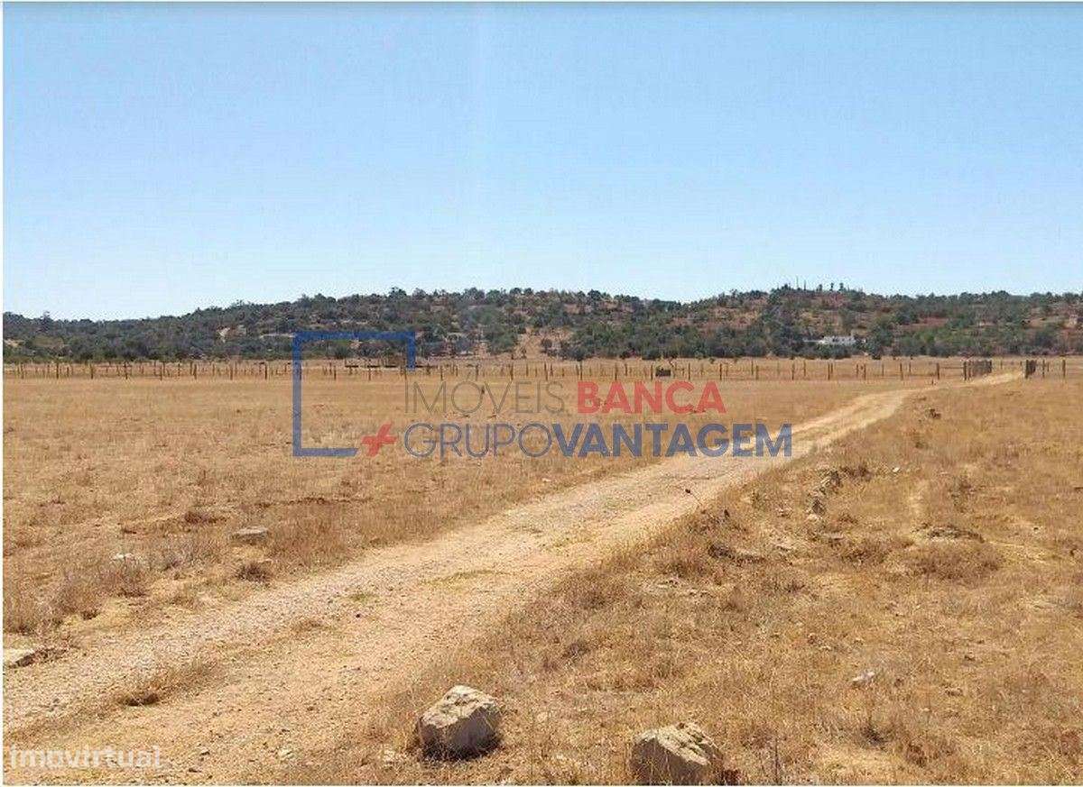 Terreno rústico com 8.980m² destinado a cultura arvense, situado em... - Grande imagem: 4/6