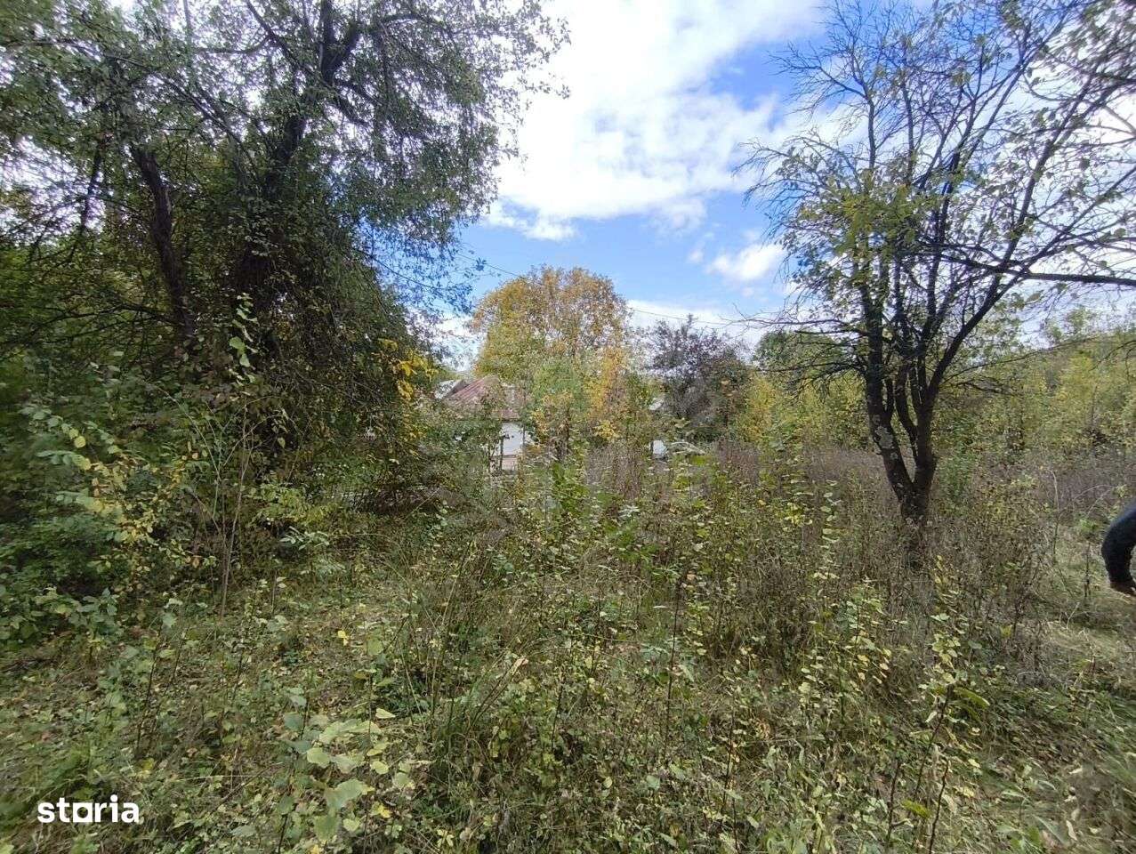 TEREN INTRAVILAN// CORNU DE JOS - Imagine principală: 2/6