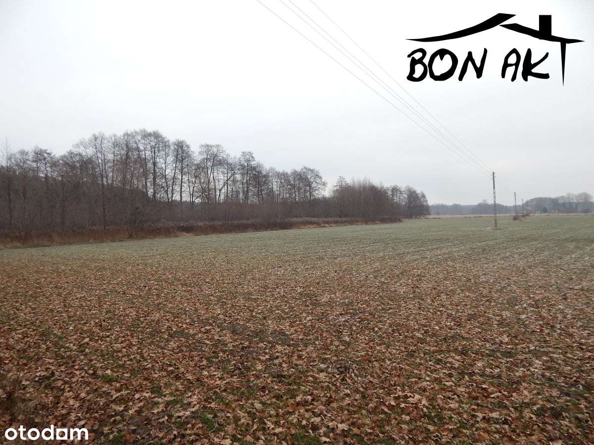 Działka rolna-5