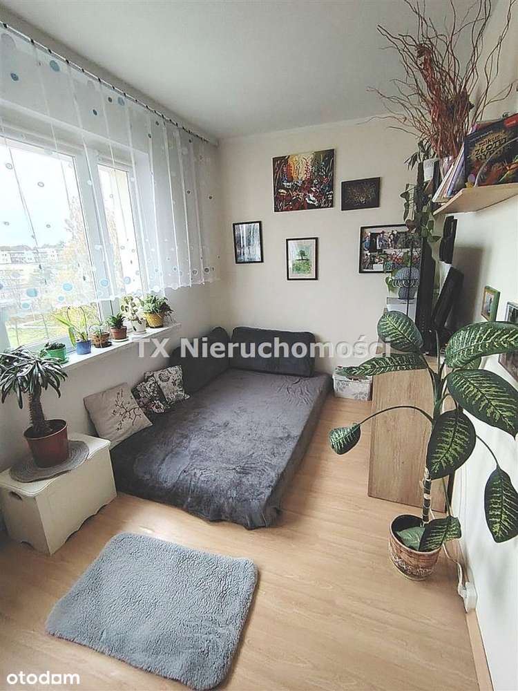 Mieszkanie, 52,50 m², Gliwice-5